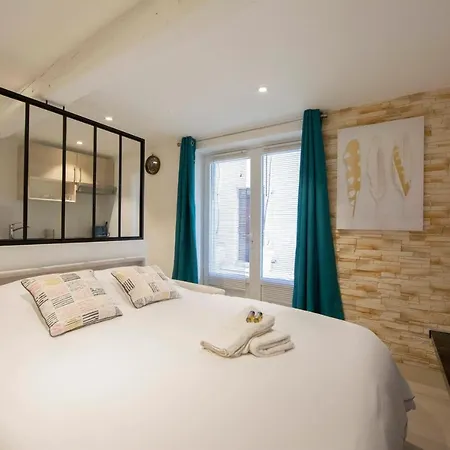Brand-new Atypical In Rue Fourmilliere Apartment